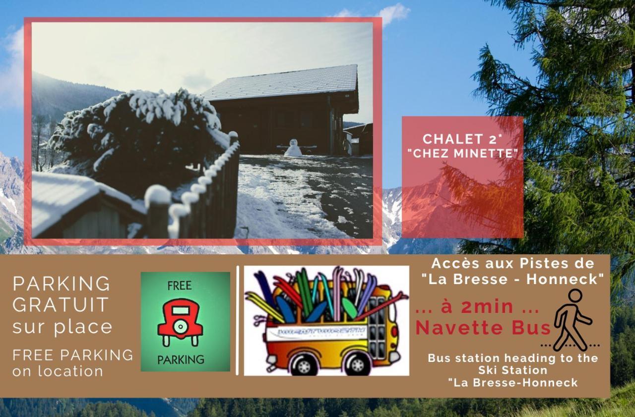 Le "Chalet De Minette" 2 Etoiles La Bresse Kültér fotó
