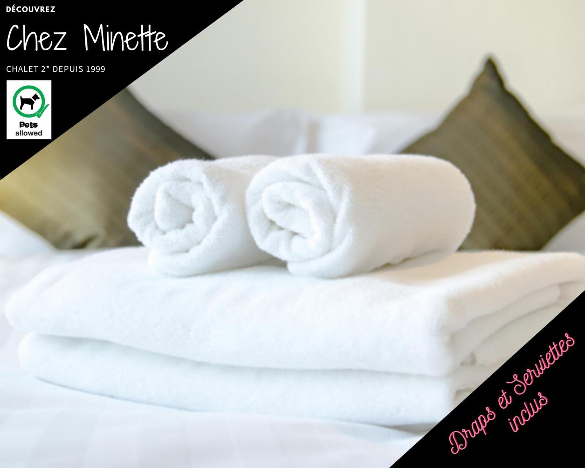 Le "Chalet De Minette" 2 Etoiles La Bresse Kültér fotó