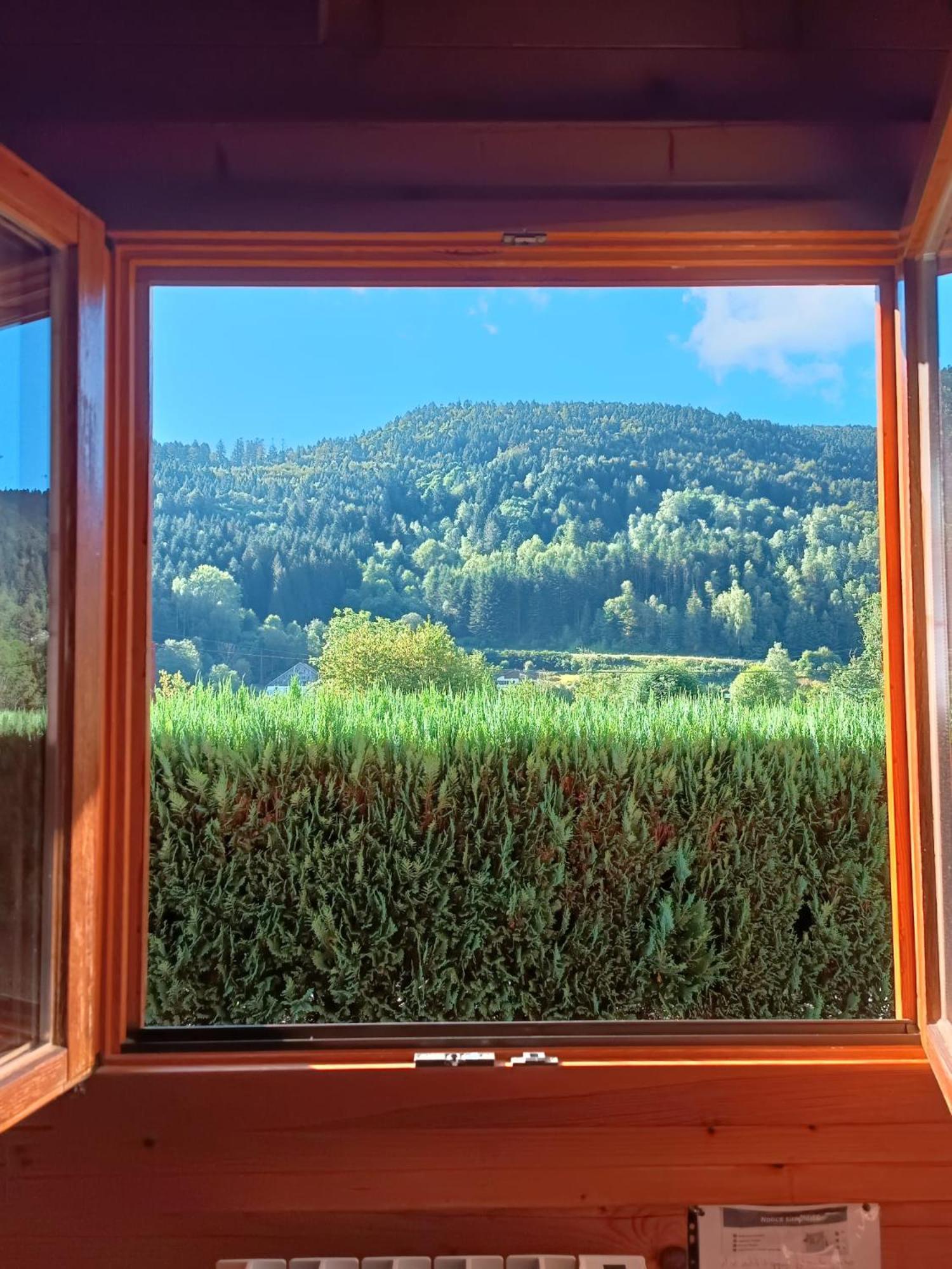 Le "Chalet De Minette" 2 Etoiles La Bresse Kültér fotó